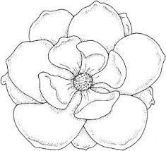 Click the magnolia coloring pages to view printable version or color it online (compatible with ipad and android tablets). Pin On Images Personal Use Public Domain