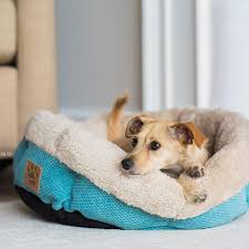 The calming pet bed provides your dog with a comfortable, warm, and safe place. 19 Best Dog Beds 2021 The Strategist
