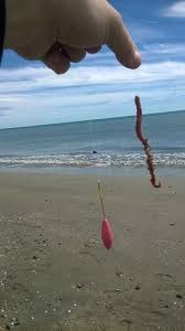 Epingle Sur Trucs De Peche