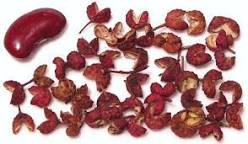 Image result for Sichuan Pepper