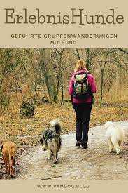 Three floors, living with fireplace, 4 bedrooms, mont blanc view. Erlebnishunde Ein Hunde Erlebnis Im Bayrischen Funf Seen Land In 2021 Hunde Urlaub Mit Hund Ferien Mit Hund