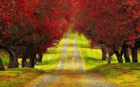 Attractive Wallpapers For Mobile Free Download Blindnew Click a thumb to load the full version.