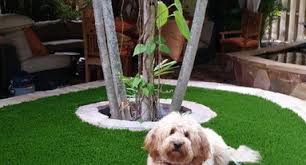 Miami landscaping contractor in south florida for residential and commercial landscape services in design, installation, lawn maintenance & irrigation. Die 15 Besten Garten Und Landschaftsbauer In Miami Houzz