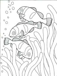 Free Printable Clownfish Coloring Pages For Kids In 2020 Fish Coloring Page Animal Coloring Pages Ocean Coloring Pages