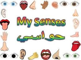 Pin On Kg1 Kg2 Teaching Resources