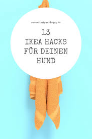 Pin Auf Community Midoggy De