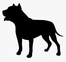 Check spelling or type a new query. ØªÙ†Ø¸ÙŠÙ Ø¨Ø¯ÙˆÙ† Ù†Ø´ÙˆØ© Pitbull Puma Porkafellas Com