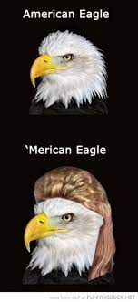 Funny Eagle Memes