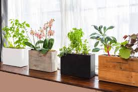 Today i want to show how simple furniture, potted plants, folding chairs and green grass can make your small balcony as a green. Balcony Vegetable Garden Ideas For Apartments Indroyal Properties
