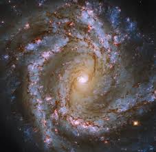 Konuyla ilgili merak edilen tüm bu soruların yanıtlarını kadın sağlığı. Esa Spiral Snapshot