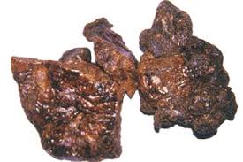 propolis ile ilgili görsel sonucu