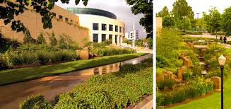 Check spelling or type a new query. The Rain Garden Oregon Convention Center Expansion Mayer Reed