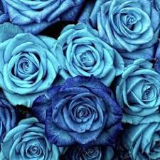 صور وملفات صوتية من كومنز. 65 ØµÙˆØ± ÙˆØ±Ø¯ Ideas Wedding Bouquets Wedding Flowers Bridal Bouquet
