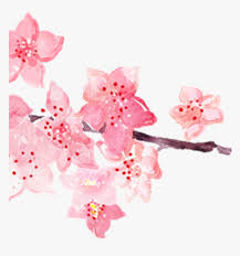 We did not find results for: Cherry Blossom Watercolour Painting