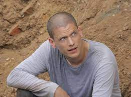 Wentworth Miller Says No More Prison Break For Him E Online Deutschland
