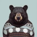 Bildresultat för inurl:forum "powered by IP.Board *" surrender