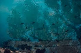 mysterious 450 foot 'blue hole' off