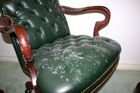 Remove All Stains Com How To Remove Mold From Leather Mold Remover Cleaning Leather Couch Leather Diy