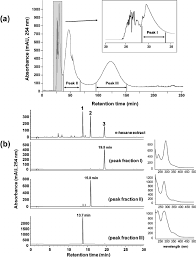 Image result for Rhynchosia tricuspidata