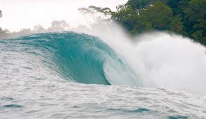 Bocas del toro cautiva a sus visitantes por su increíble vegetación, su biodiversidad, sus antiguas costumbres: Stormrider Surf Guide To Stormrider Guide To Surfing Bocas Del Toro