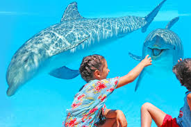 The modern and upscale elegant edge kitchen™ playset has so many great features, it'll make the price kind of pushed me away at first but i found it on sale at sams club an decided to go for it. Summer Camps At Zoomarine My Guide Algarve