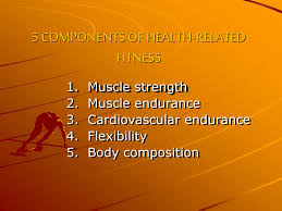 Health and physical fitness is important as it helps control weight, prevents diseases and illn. Ppt 5 Components Of Health Related Fitness Powerpoint Presentation Free Download Id 6591118