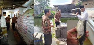 Secara umum, penyakit kuning dibagi ke dalam tiga kelompok besar, yakni prehepatic (gangguan berada di sebelum hati), intrahepatic (gangguan di hati). Amati Awasi Dan Pahami Perubahan Pada Budidaya Ikan Lele Studi Kasus Kematian Ikan Karena Penyakit Kuning Jaundice