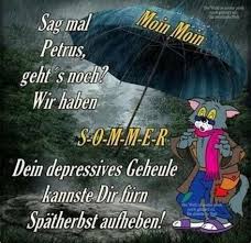 Pin Von Susanne Piesker Auf Hasi In 2020 Regen Bilder Lustig Guten Morgen Bilder Regen Guten Morgen Lustig