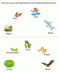 Food web is a connection of multiple food. Tadpoles Frogs And Crickets Learning About The Food Chain Earth Mama S World Food Chain Fun Science Food Chain Activities