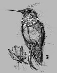 20171107 Turtle Psdelux Von Psdeluxe Auf Deviantart In 2020 Skizzierung Kolibri Zeichnung Abstrakte Zeichnungen
