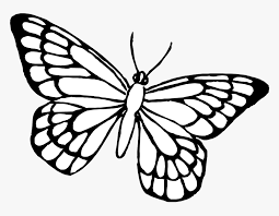 Together we will beat cancer total raised £0.00 + £0.00 gift aid donating through this page is simple, fast and totally secure. Butterfly Coloring Pages Hd Png Download Kindpng