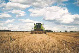 Not For Sale: Private Farmland in Post-Soviet Ukraine - Wrath-Bearing Tree