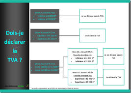 Schema Tva Seuils Exercice Comptable Micro Entrepreneur Entrepreneur