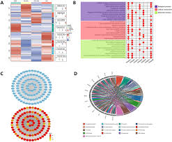 Image result for bioinformatics heatmap