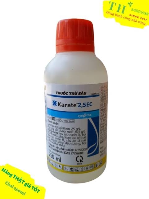 Karate 2.5EC