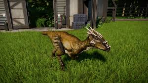 Your progress towards dinosaur dna as well as all research unlocked at the research center carries over between each island park. Dracorex Skins Album On Imgur