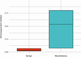 Clinical features which predict the presence of mesothelioma recommendations do not rule out a diagnosis of malignant pleural mesothelioma (mpm) on the basis of symptoms and examination findings alone. Homozygous Deletion Of Cdkn2a In Malignant Mesothelioma Diagnostic Utility Patient Characteristics And Survival In A Uk Mesothelioma Centre Lung Cancer