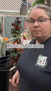 Floral Design: Tips, Tricks and Feedback