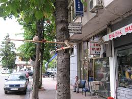 İslampaşa mah., rize, 53100, turkey. Arhavi Gaco Atmaca Kusu Arkabi08 Flickr