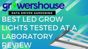 Maybe you would like to learn more about one of these? Best Led Grow Lights Of 2020 Tested At Light Laboratory To Review The Top Indoor Led Lighting Youtube