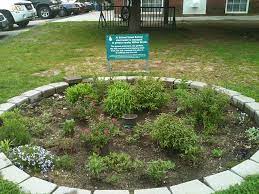 Their cost will vary a lot. Soak Up The Rain Rain Gardens Us Epa