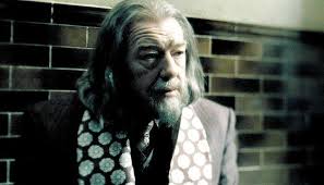 Yo, The Battalion, Dumbledore would have never let this happen.