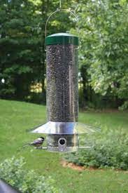 Birds Choice Hanging 20 Classic Bird Feeder With Baffle Green Bird Feeders Squirrel Proof Bird Feeders Classic Bird Feeder