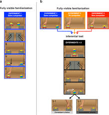 The process of multiplying a number times itself is called squaring. Infants Recruit Logic To Learn About The Social World Nature Communications
