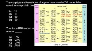 Translation reads the genetic code in mrna and makes a protein. Mrna Code Chart Shefalitayal