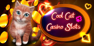 Download cool cat casino game directly without a google account, no registration, no. Coolcats Casino All Casino Bonus