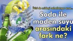 Istenmeyen Hasere Ve Hamam Bocekleri Icin Ev Yapimi Bocek Ilaci Organik Doktorum Organik Yasam Kocunuz Maden Suyu Soya Mumu Doktorlar
