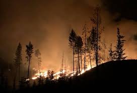 The summer of 2020 and 2019 did not see any forest wildfire activity in our area. Latest Fire Update For Cranbrook Invermere Zone From Bc Wildfire Service The Free Press