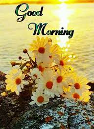 Make birthday wishes greeting cards online free. Good Morning Flowers Wishes For Whatsapp Good Morning Images