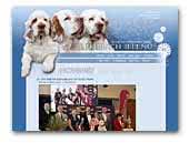 Find clumber spaniel puppies and breeders in your area and helpful clumber spaniel information. Clumber Spaniel Breeders And Kennels Eurobreeder Com